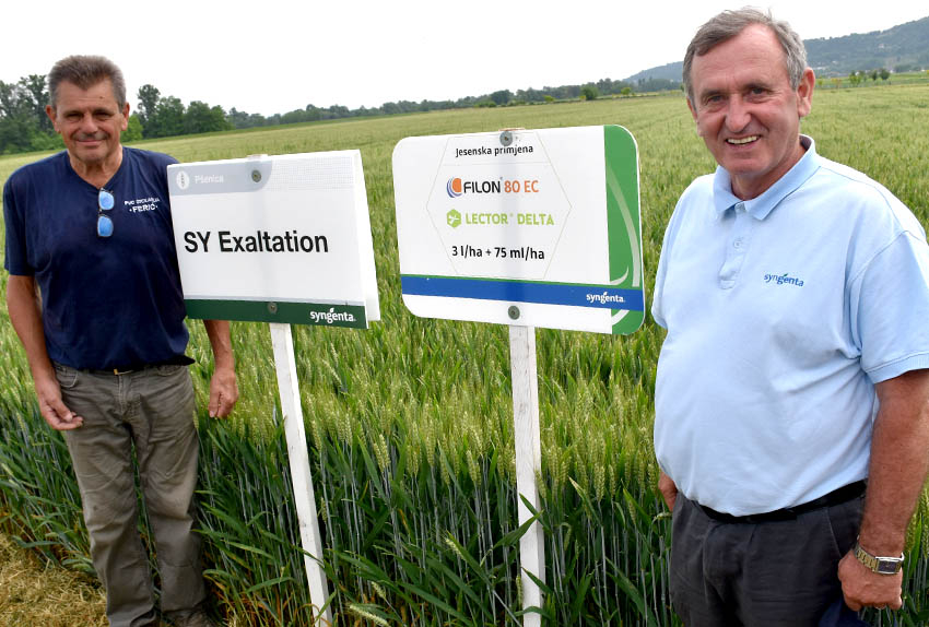 Požega.eu | DAN POLJA U ZAVRŠJU: Stručnjaci i poljodjelci na njivi pšenice  i ječma razmijenili iskustva o uzgoju žitarica