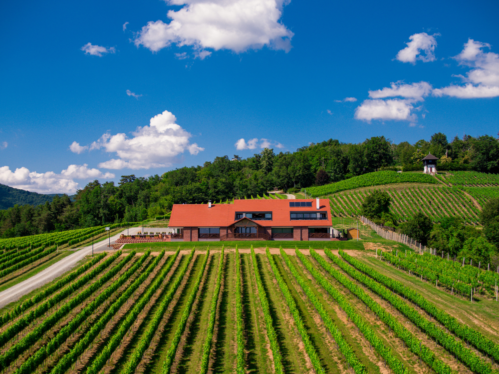 Požega.eu | Prepustite se luksuzu i enogastronomskoj čaroliji Vinarije Kutjevo 