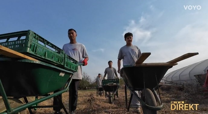 SB Online | RADNA SNAGA: 30 Nepalaca doselilo u malo slavonsko mjesto sa svega 300-injak stanovnika