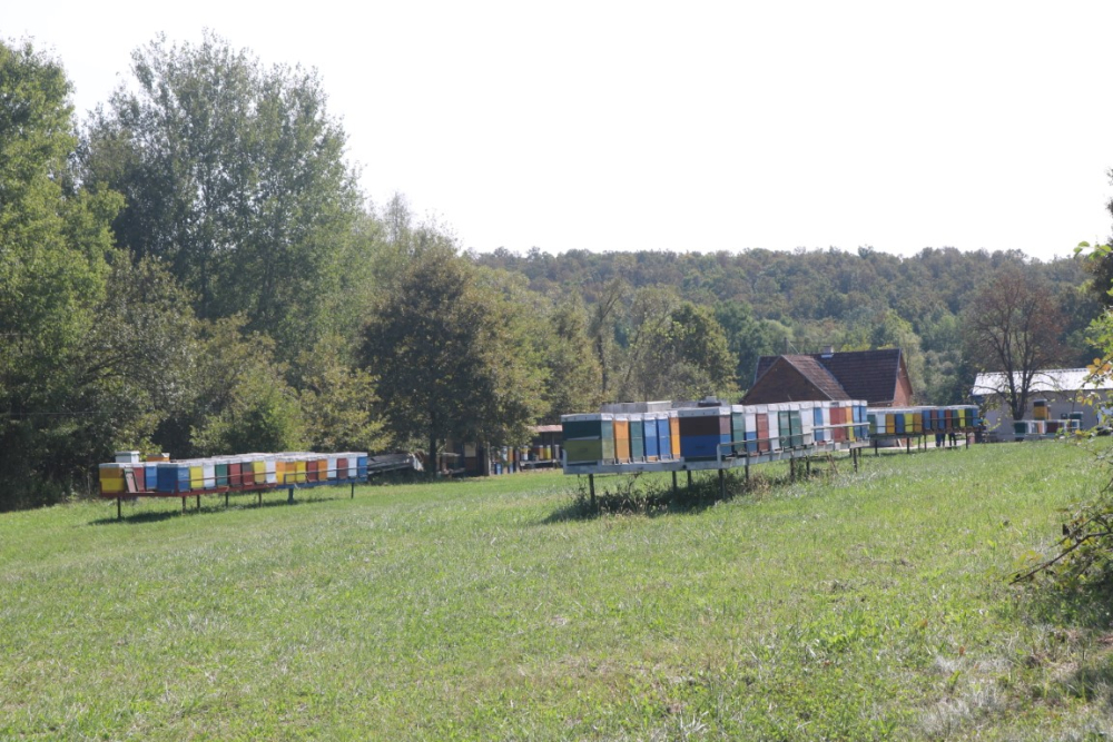 Požega.eu | Požeški pčelar Željko Balen jedini u našoj zemlji oformio energetski neovisan i samoodrživ pčelinjak /FOTO/