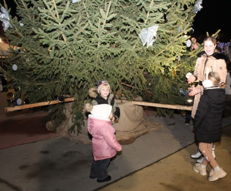 Zapaljena druga adventska svijeća, okićeno božićno drvce s  imenima Pleterničana i druženje u Bećarskom šoru