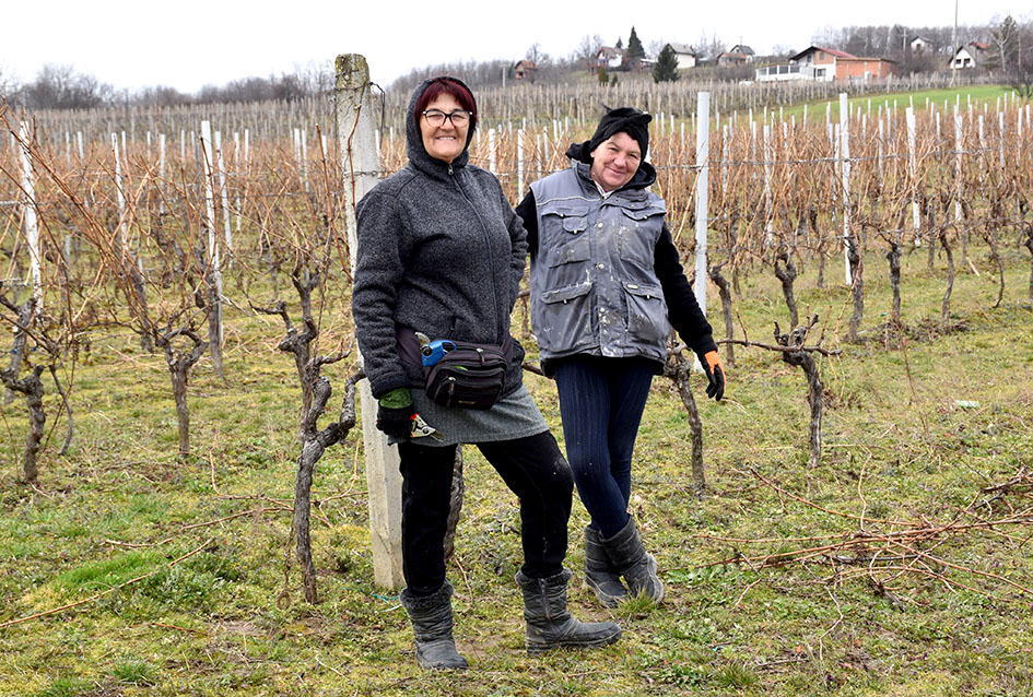 Požega.eu | Kata i Đurđa tandem za radove u vinogradu