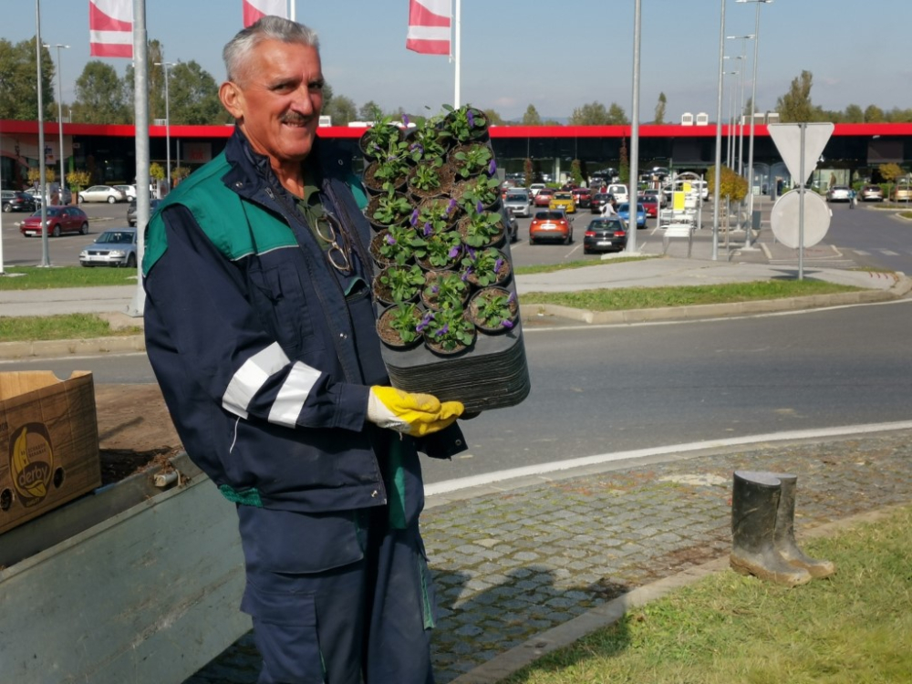 Požega.eu | Za lijepu zimu i šareno proljeće: U tijeku jesensko uređenje zelenih površina