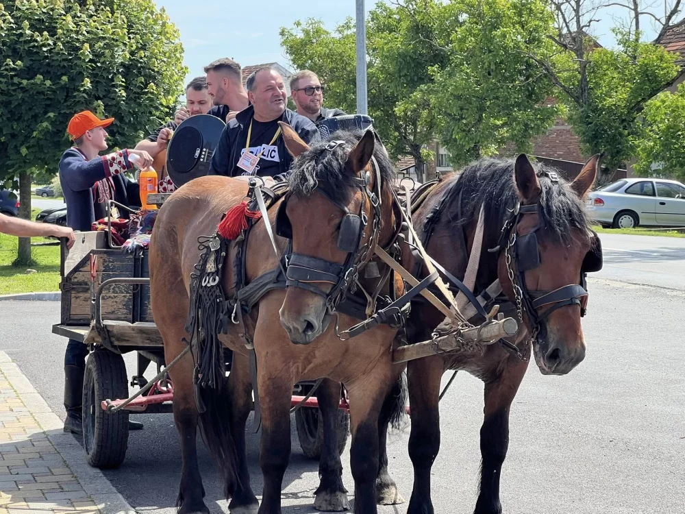 U Brodskom Stupniku održana Županijska izložba hrvatskog hladnokrvnjaka