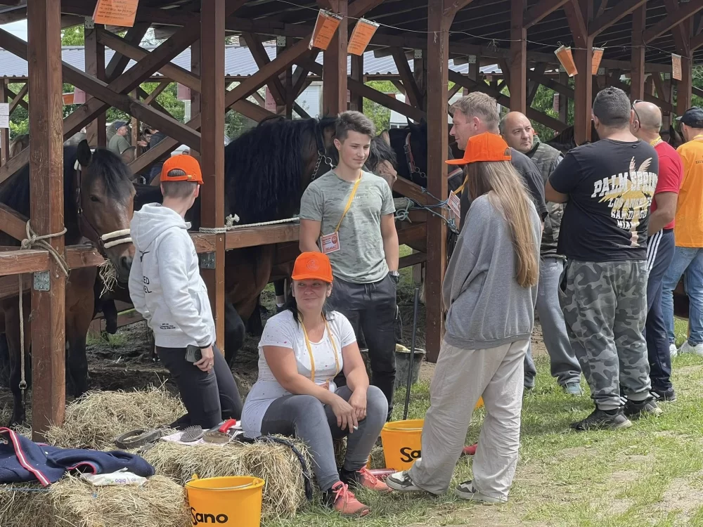 U Brodskom Stupniku održana Županijska izložba hrvatskog hladnokrvnjaka