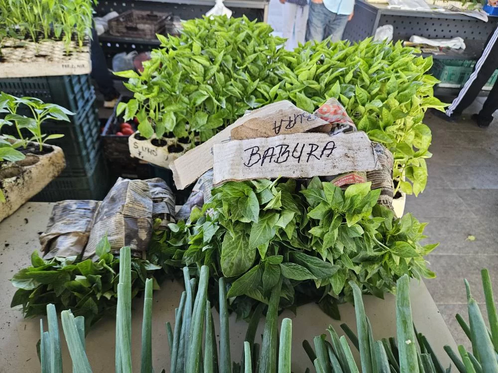 GRADSKA TRŽNICA PLETERNICA: Raznovrsna ponuda različitih proizvoda 