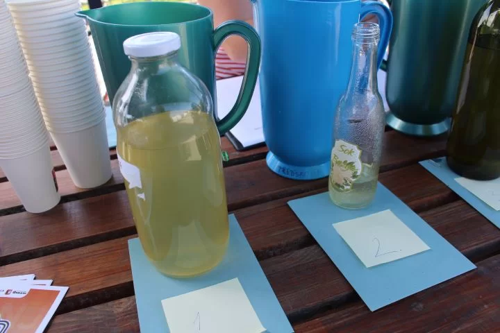 Najbolji sok od bazge pripremili Marica Karmišević i Dječji vrtić „Tratinčica“