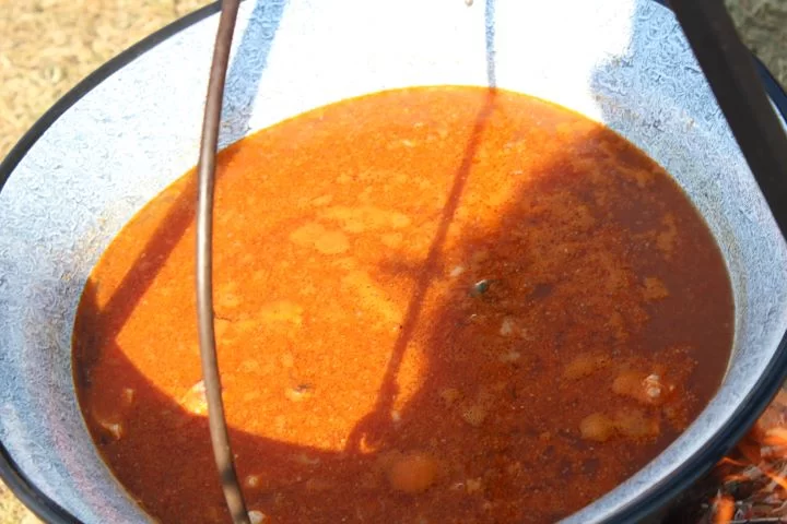 TRADICIONALNA 18. FIŠIJADA U PLETERNICI: Prvo mjesto osvojio Benjamin Hodulak iz Resnika