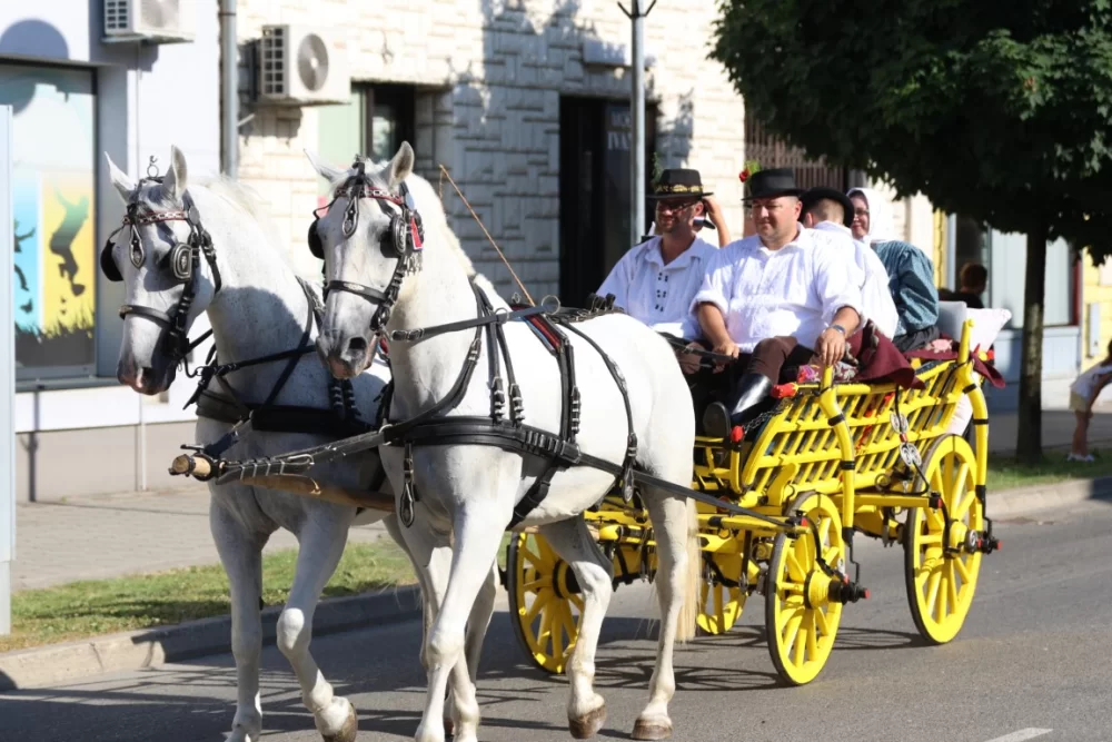 Povorka konjanika i konjskih zaprega ta članova kulturno-umjetničkih društava ulicama grada Pleternice