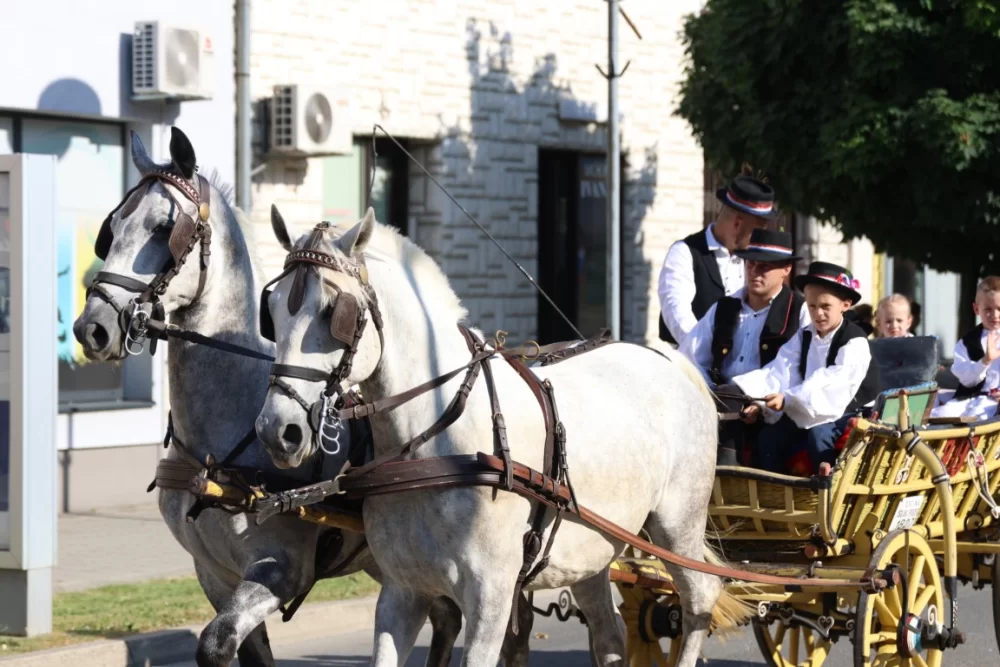 Povorka konjanika i konjskih zaprega ta članova kulturno-umjetničkih društava ulicama grada Pleternice