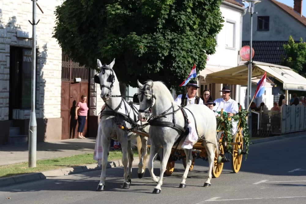 Povorka konjanika i konjskih zaprega ta članova kulturno-umjetničkih društava ulicama grada Pleternice