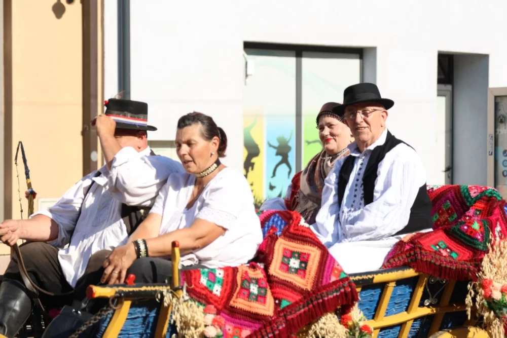 Povorka konjanika i konjskih zaprega ta članova kulturno-umjetničkih društava ulicama grada Pleternice