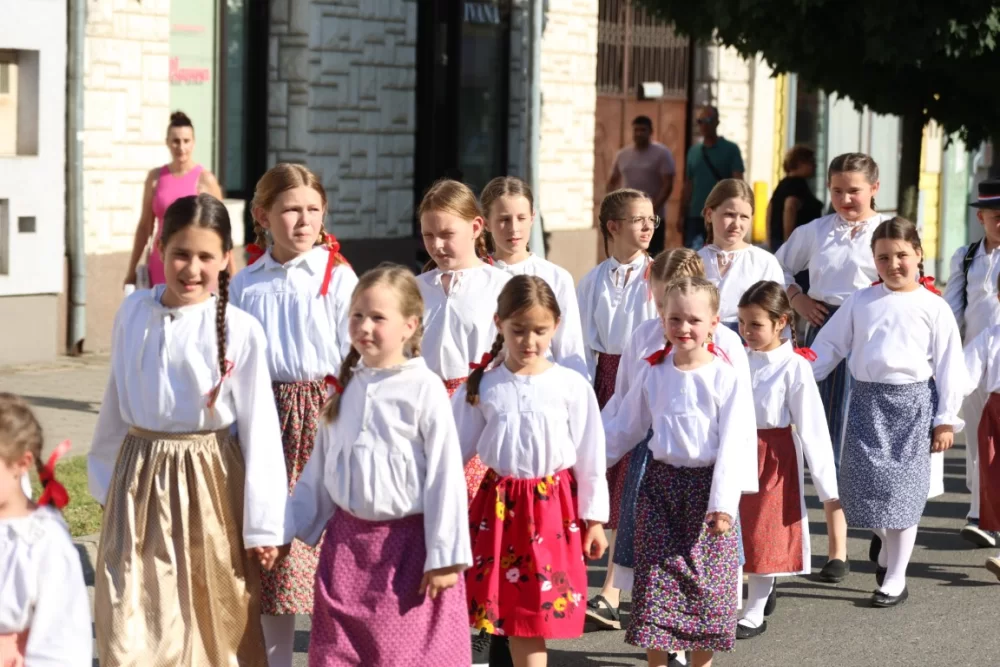 Povorka konjanika i konjskih zaprega ta članova kulturno-umjetničkih društava ulicama grada Pleternice