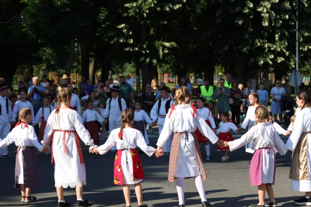 Povorka konjanika i konjskih zaprega ta članova kulturno-umjetničkih društava ulicama grada Pleternice