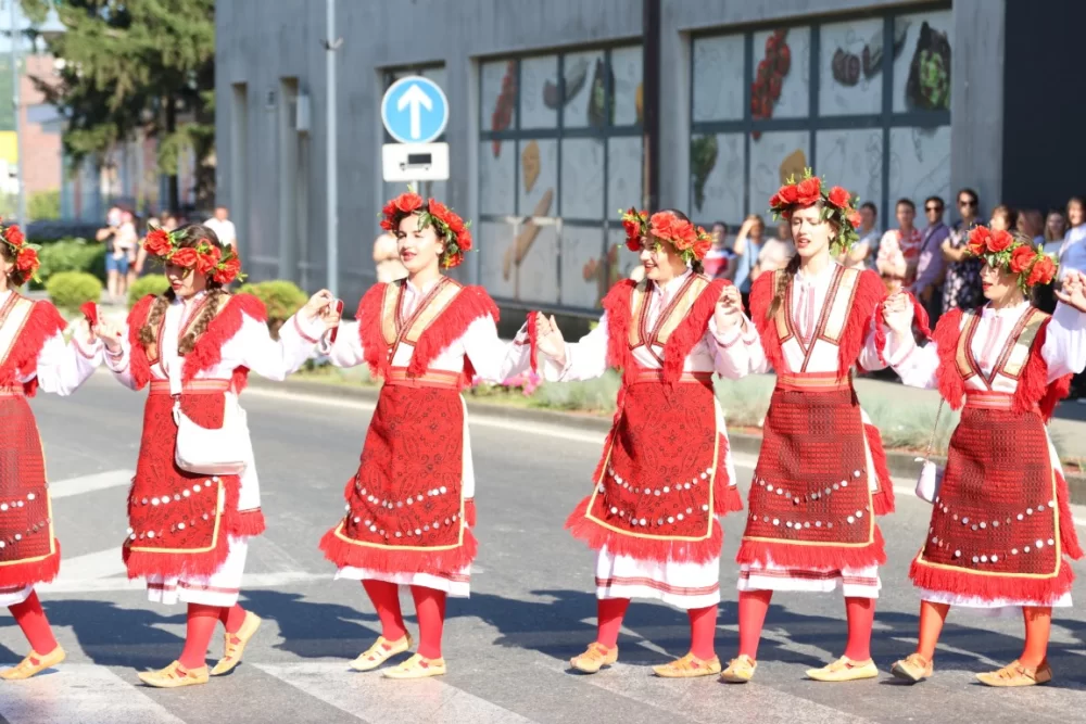 Povorka konjanika i konjskih zaprega ta članova kulturno-umjetničkih društava ulicama grada Pleternice