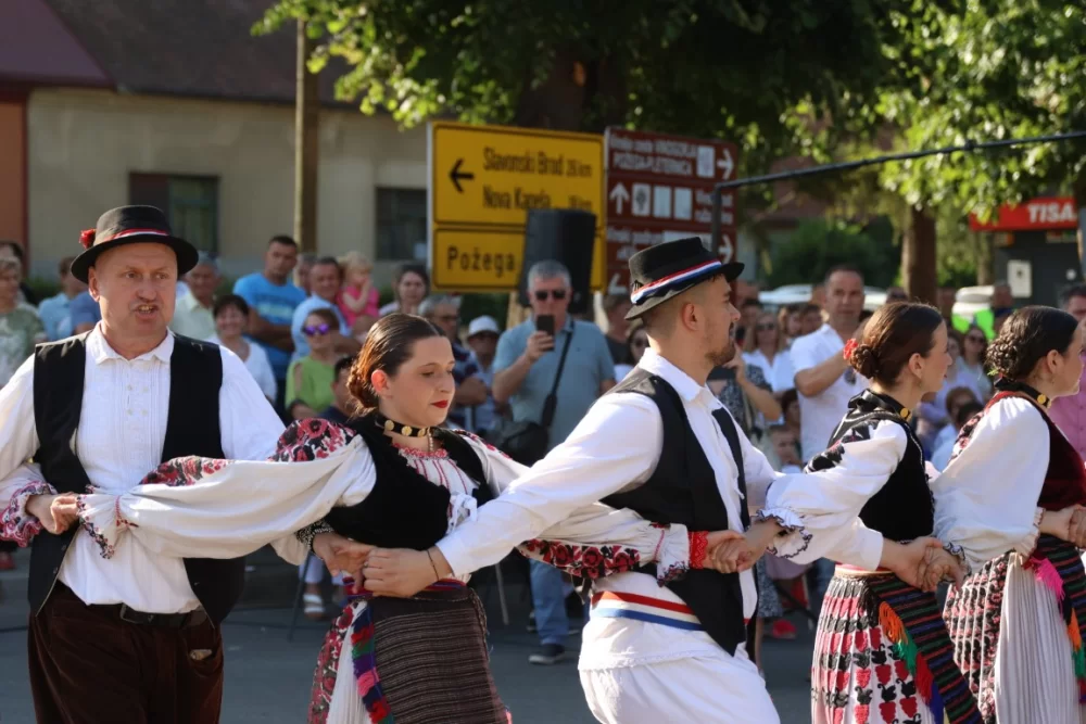 Povorka konjanika i konjskih zaprega ta članova kulturno-umjetničkih društava ulicama grada Pleternice