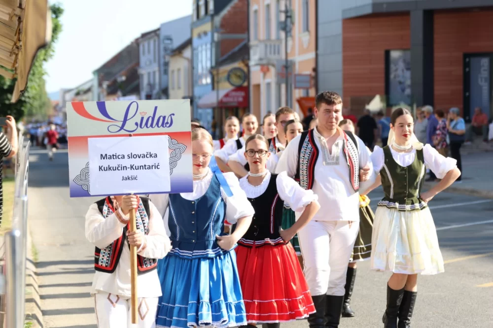 Povorka konjanika i konjskih zaprega ta članova kulturno-umjetničkih društava ulicama grada Pleternice