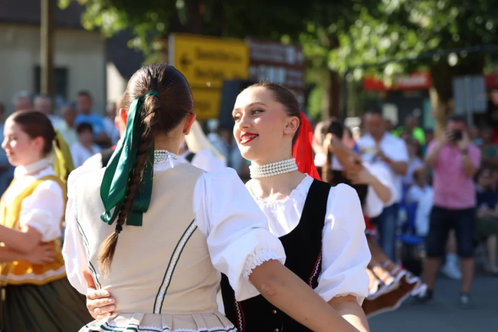 Povorka konjanika i konjskih zaprega ta članova kulturno-umjetničkih društava ulicama grada Pleternice