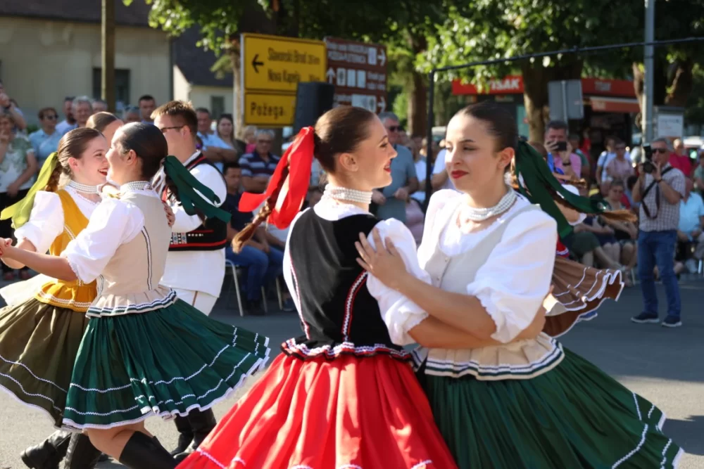 Povorka konjanika i konjskih zaprega ta članova kulturno-umjetničkih društava ulicama grada Pleternice