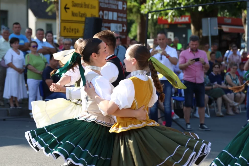 Povorka konjanika i konjskih zaprega ta članova kulturno-umjetničkih društava ulicama grada Pleternice