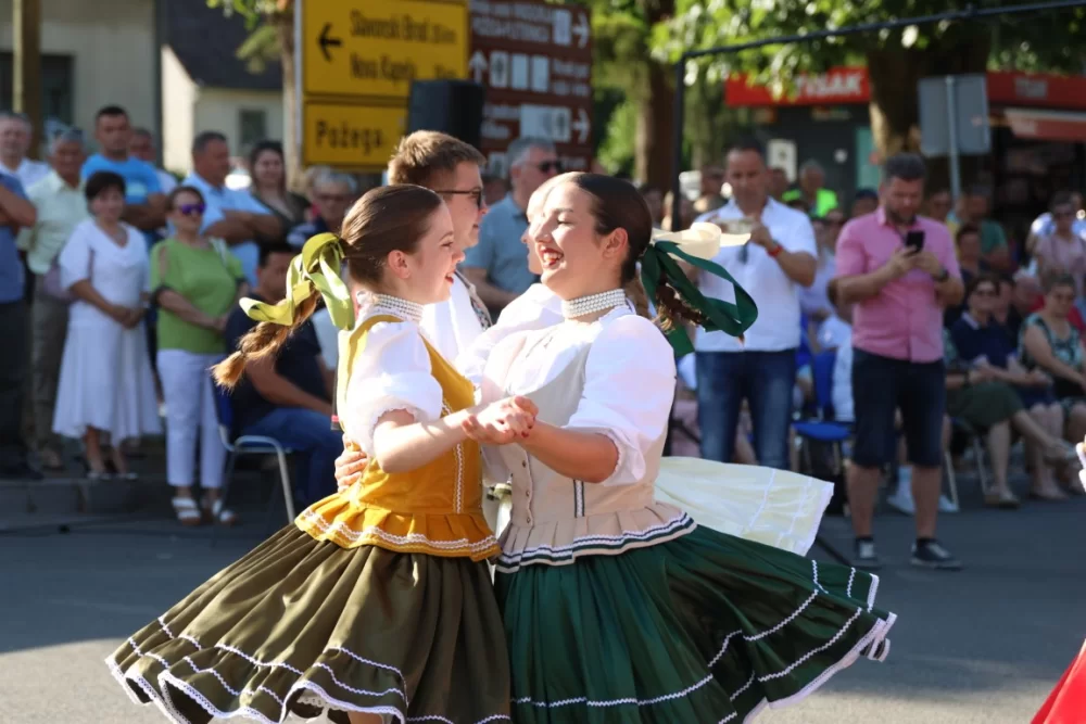 Povorka konjanika i konjskih zaprega ta članova kulturno-umjetničkih društava ulicama grada Pleternice
