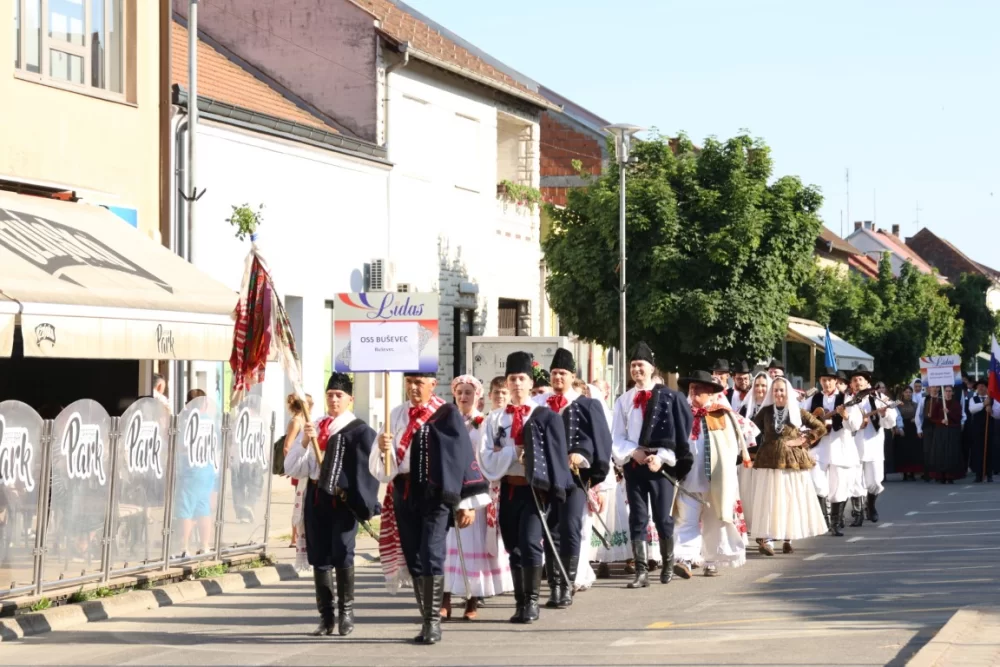 Povorka konjanika i konjskih zaprega ta članova kulturno-umjetničkih društava ulicama grada Pleternice