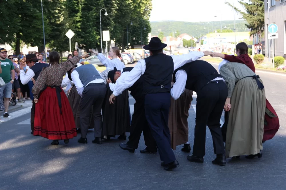 Povorka konjanika i konjskih zaprega ta članova kulturno-umjetničkih društava ulicama grada Pleternice