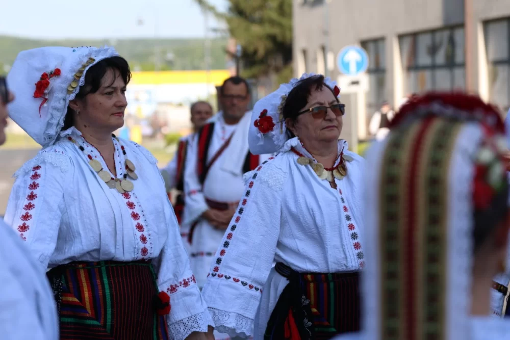 Povorka konjanika i konjskih zaprega ta članova kulturno-umjetničkih društava ulicama grada Pleternice
