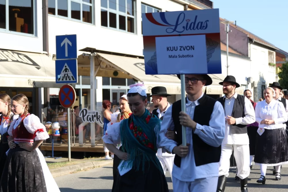 Povorka konjanika i konjskih zaprega ta članova kulturno-umjetničkih društava ulicama grada Pleternice