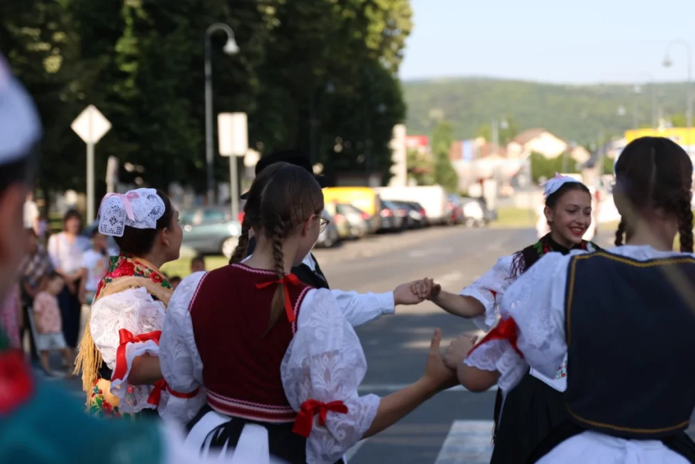 Povorka konjanika i konjskih zaprega ta članova kulturno-umjetničkih društava ulicama grada Pleternice