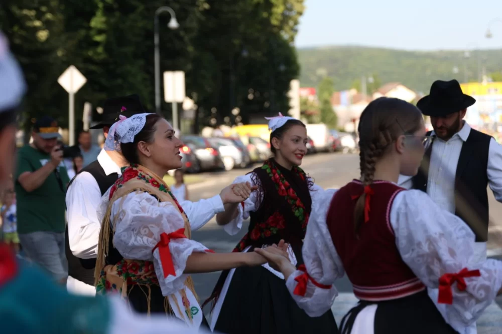 Povorka konjanika i konjskih zaprega ta članova kulturno-umjetničkih društava ulicama grada Pleternice