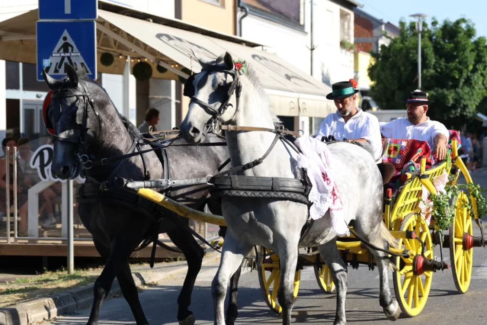 Povorka konjanika i konjskih zaprega ta članova kulturno-umjetničkih društava ulicama grada Pleternice