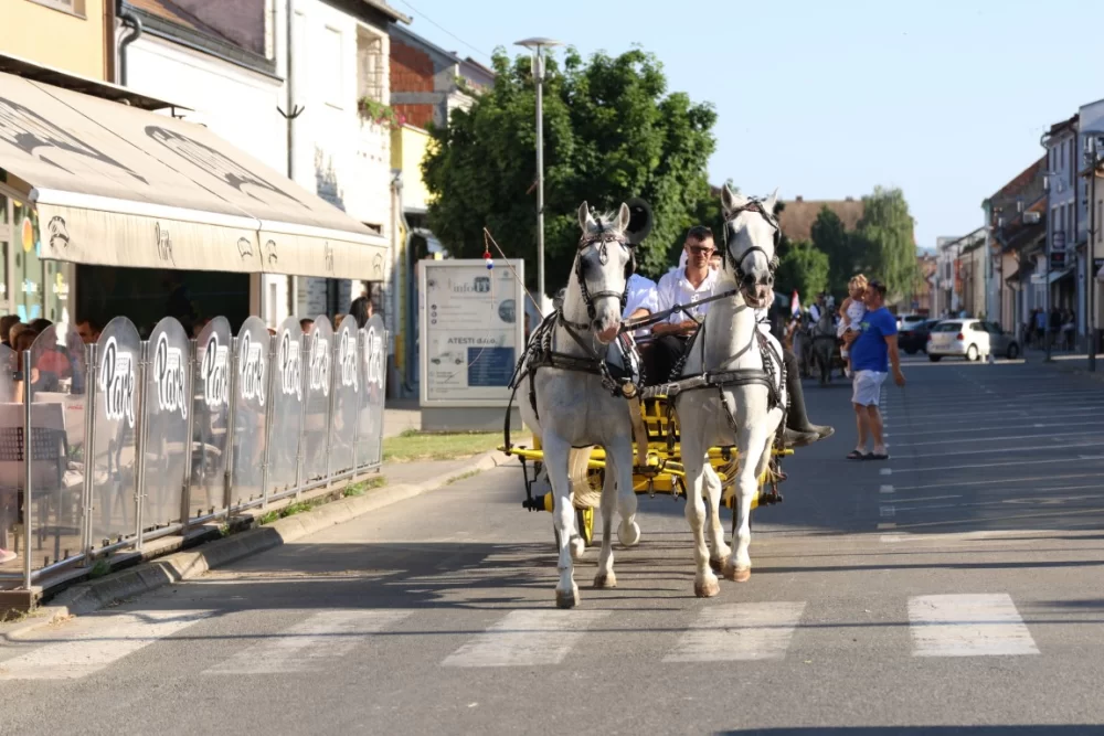 Povorka konjanika i konjskih zaprega ta članova kulturno-umjetničkih društava ulicama grada Pleternice