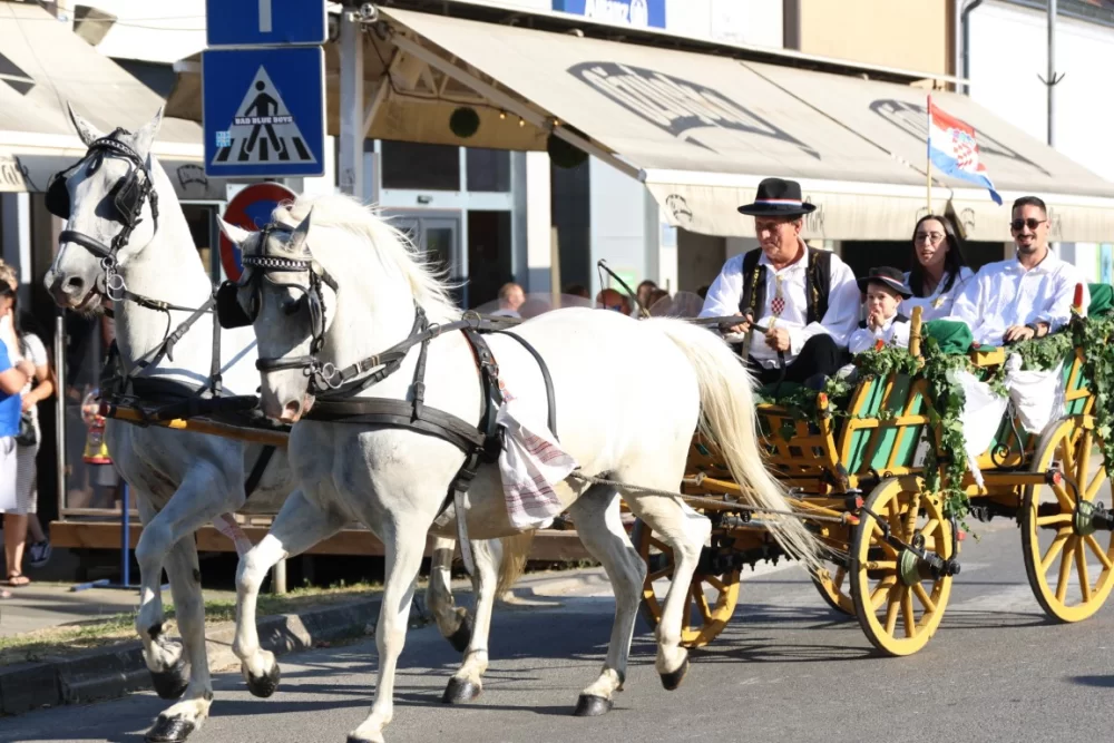 Povorka konjanika i konjskih zaprega ta članova kulturno-umjetničkih društava ulicama grada Pleternice