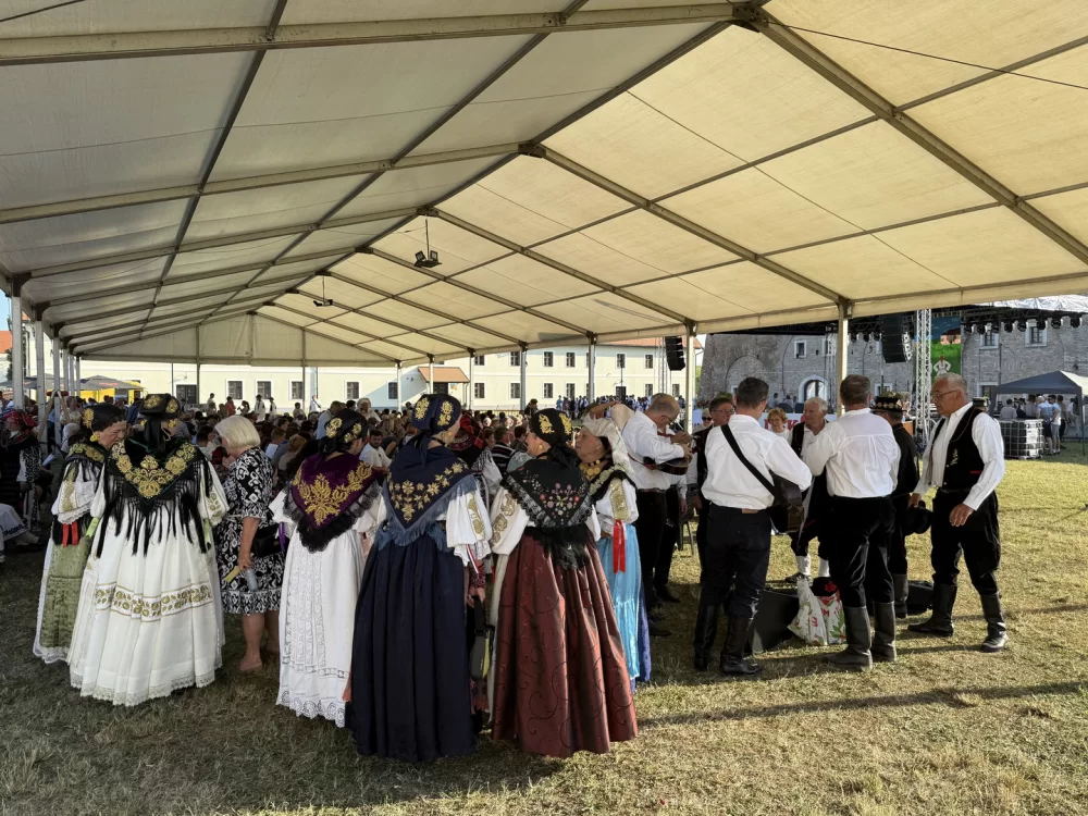 Brodskim kolom slavonska tradicija zasjala u punom sjaju
