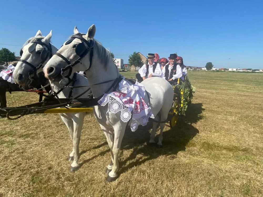 Brodskim kolom slavonska tradicija zasjala u punom sjaju