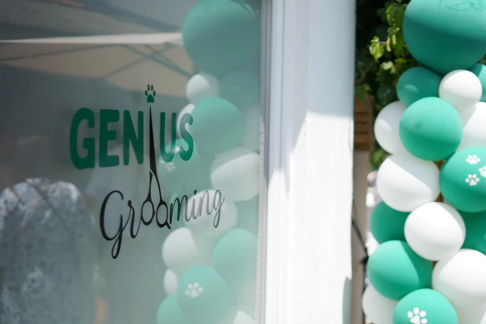 ZA VAŠE LJUBIMCE: Vrhunska njega i šišanje pasa u novootvorenom salonu ʼGenius groomingʼ