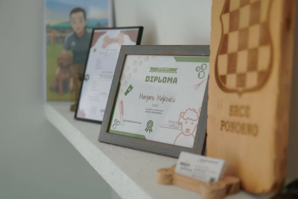 ZA VAŠE LJUBIMCE: Vrhunska njega i šišanje pasa u novootvorenom salonu ʼGenius groomingʼ