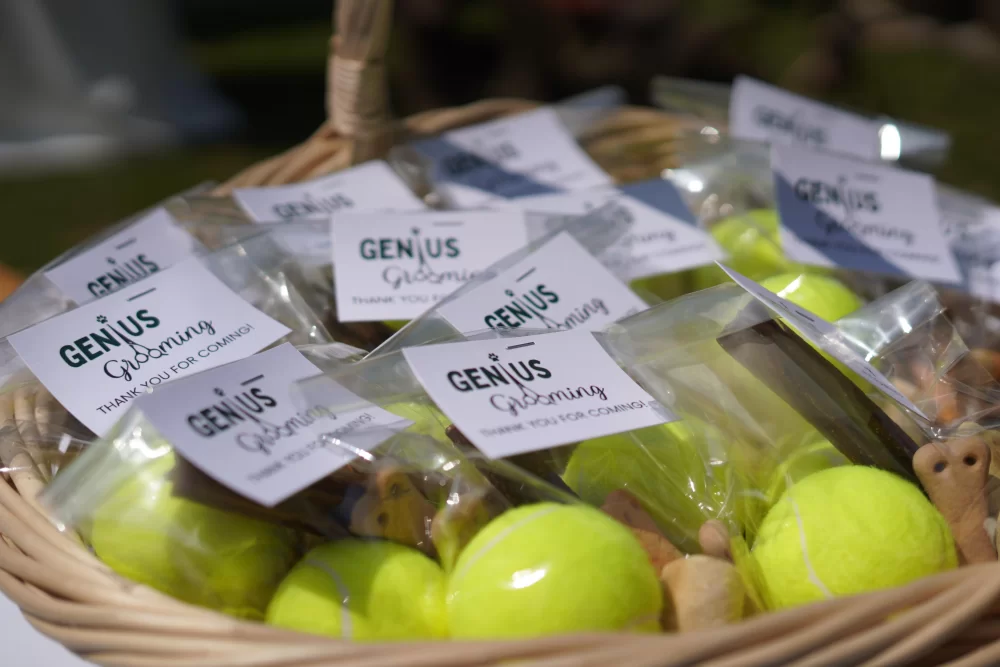 ZA VAŠE LJUBIMCE: Vrhunska njega i šišanje pasa u novootvorenom salonu ʼGenius groomingʼ