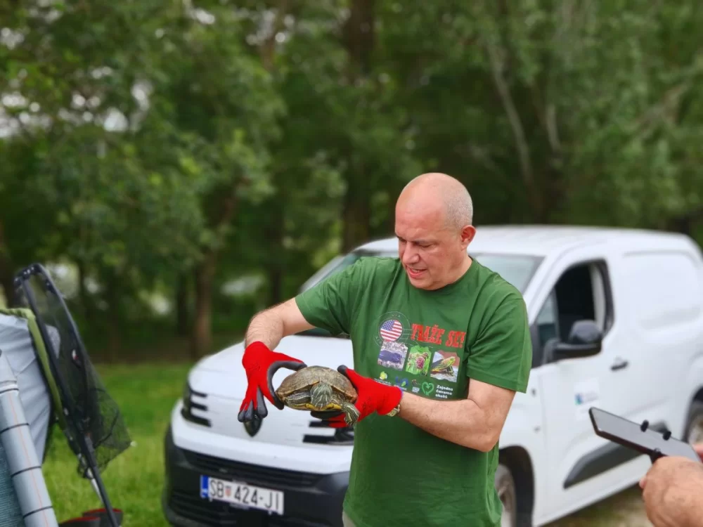 Natura Slavonica provodi projekt s ciljem smanjenja negativnog utjecaja triju invazivnih vrsta na bioraznolikost zaštićenih područja
