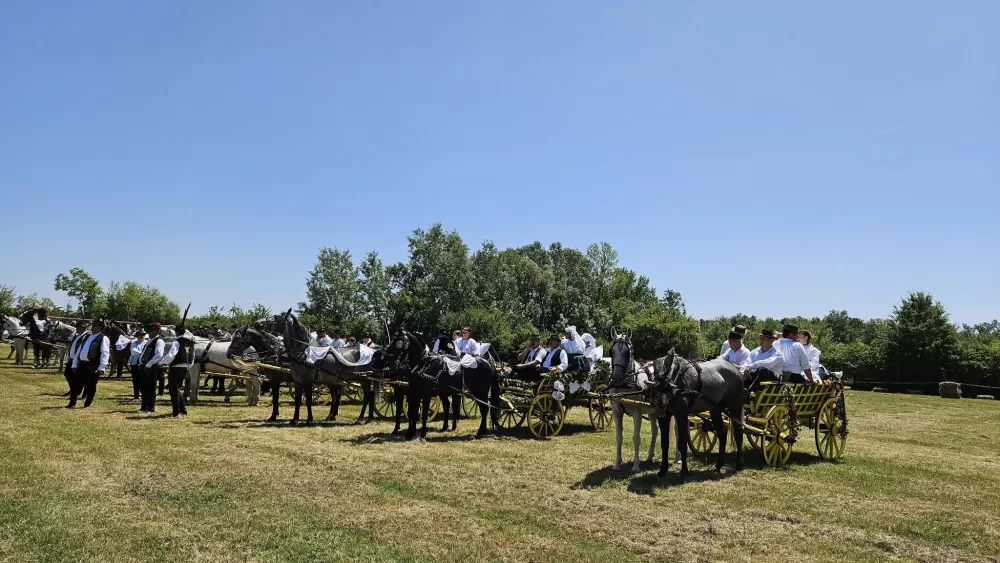 Konji vrani - povorka svatovskih zaprega i jahača u Velikoj Kopanici