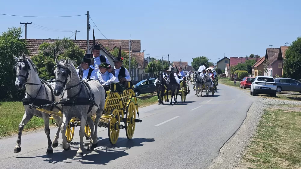 Konji vrani - povorka svatovskih zaprega i jahača u Velikoj Kopanici