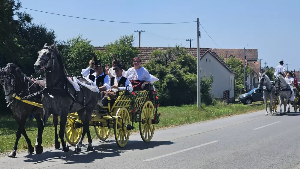 Konji vrani - povorka svatovskih zaprega i jahača u Velikoj Kopanici