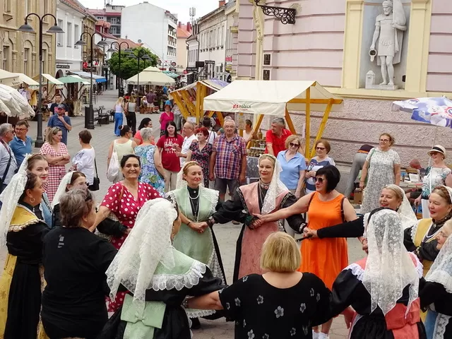 TZ GRADA POŽEGE – Šareno i mirisno Zlatno ljeto tradicije