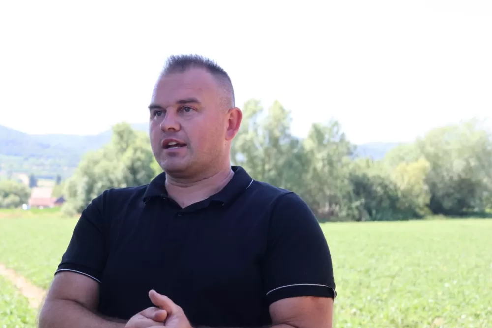 Šest povrćara požeškog kraja imaju 55 hektara rajčice za potrebe Podravke