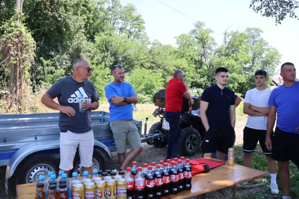 Šest povrćara požeškog kraja imaju 55 hektara rajčice za potrebe Podravke
