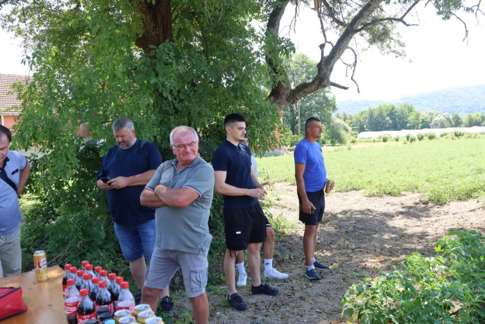 Šest povrćara požeškog kraja imaju 55 hektara rajčice za potrebe Podravke