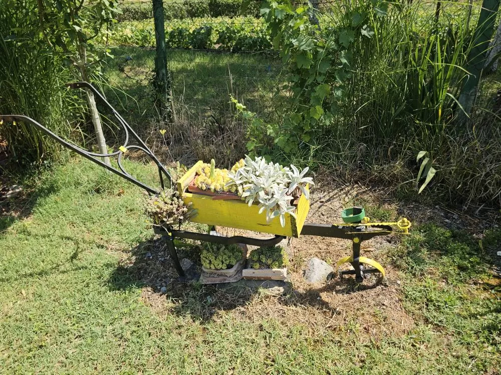 Svečanost u Lovčiću: Proslavljena 11. obljetnica postavljanja Stope svetog Martina