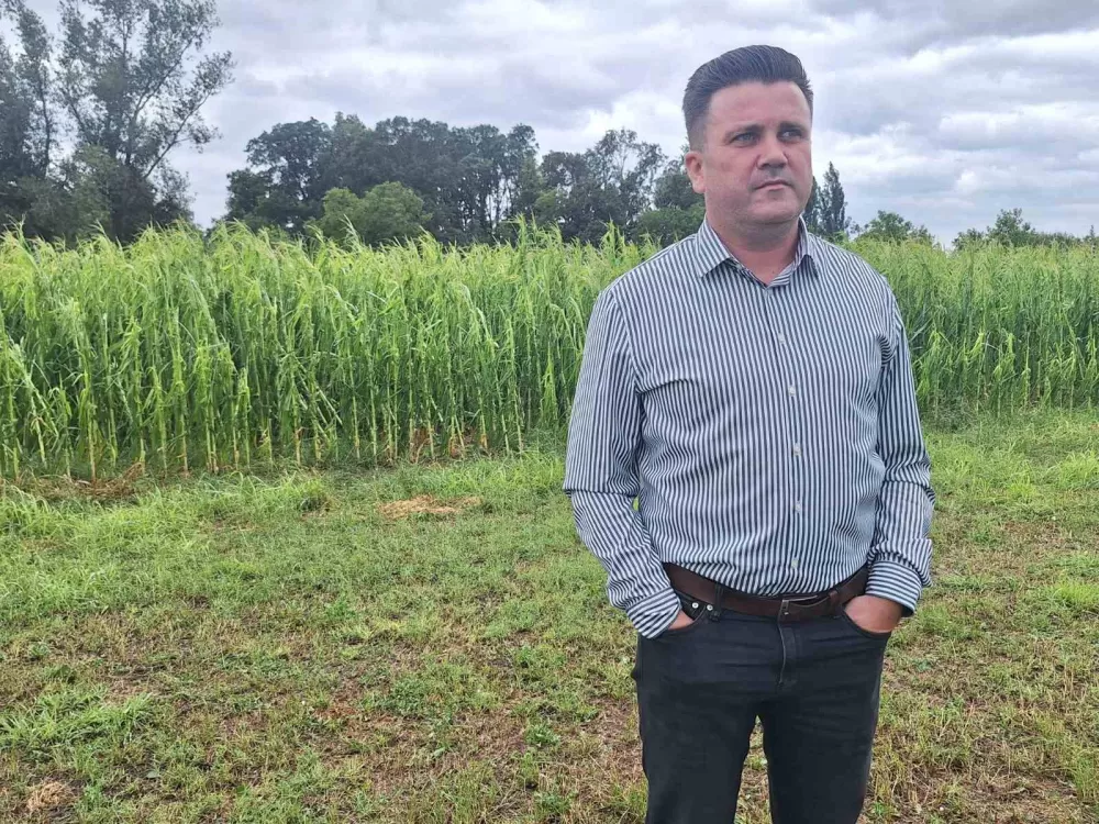 ŠTETE STOPOSTOTNE - Ratari očajni, jaka tuča uništila proljetne usjeve, najviše stradali kukuruz i soja