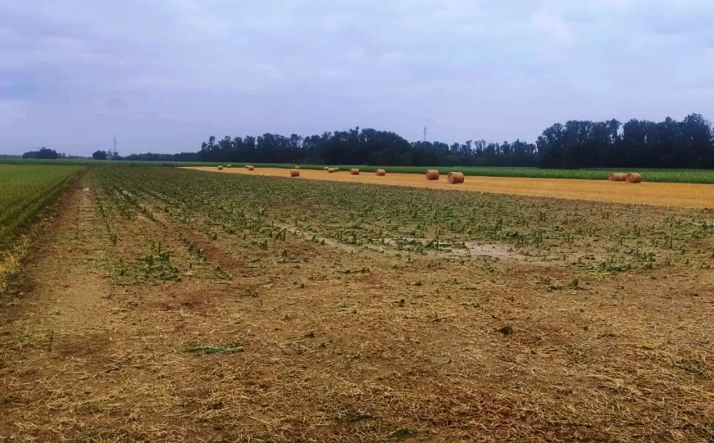 ŠTETE STOPOSTOTNE - Ratari očajni, jaka tuča uništila proljetne usjeve, najviše stradali kukuruz i soja
